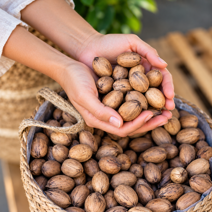 Raw Natural Pecan Halves – South Australia